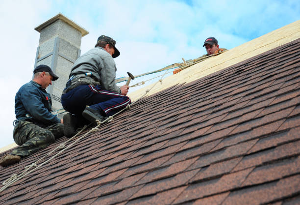 Best Metal Roofing Contractor  in Linln Park, CO